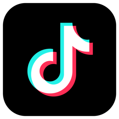 TikTok Icon